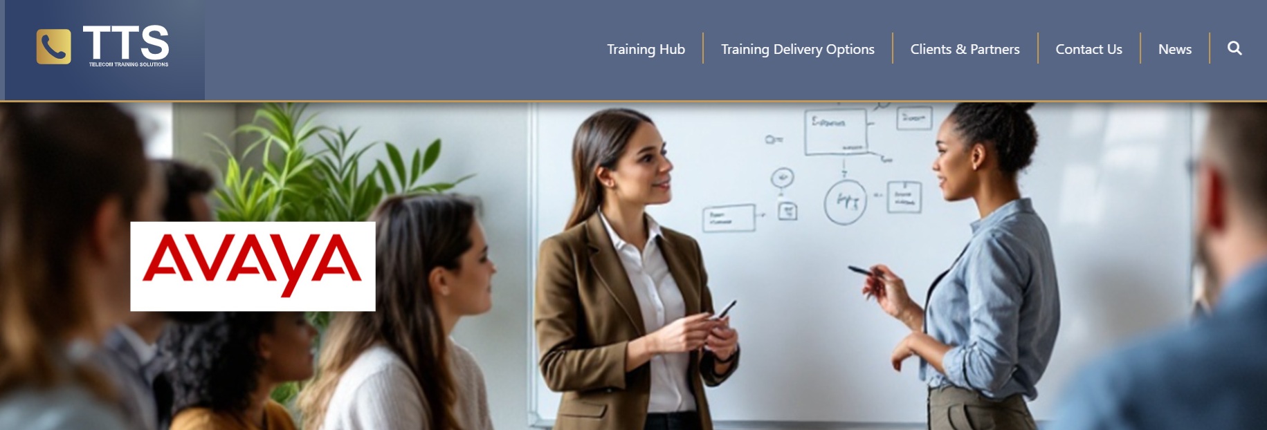 TTS expert delivering bespoke Avaya Experience Platform training onsite — agents, supervisors and administrators across enterprise and NHS